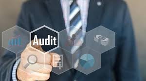 Why Audit Support Matters in the UAE